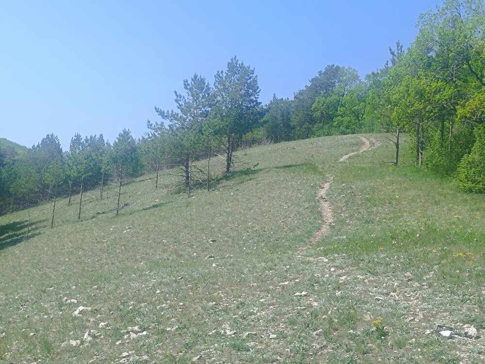 IMG_20260508_123433.jpg