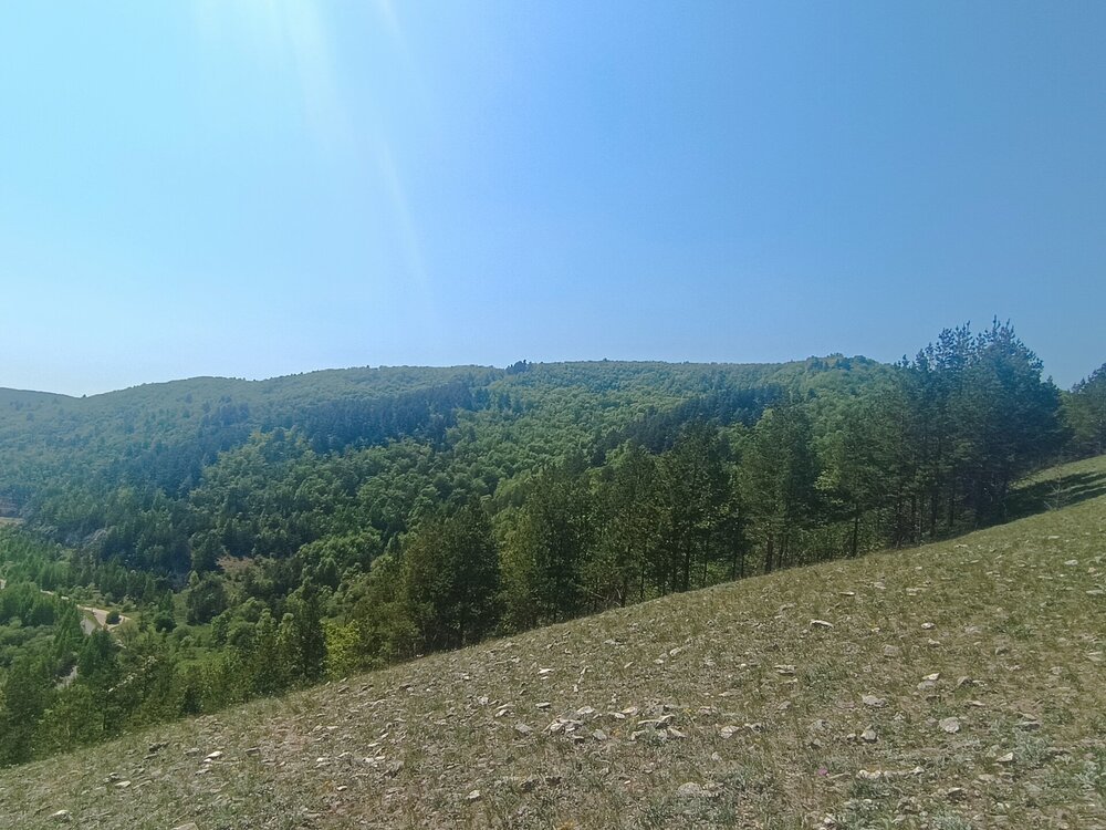 IMG_20260508_123603.jpg