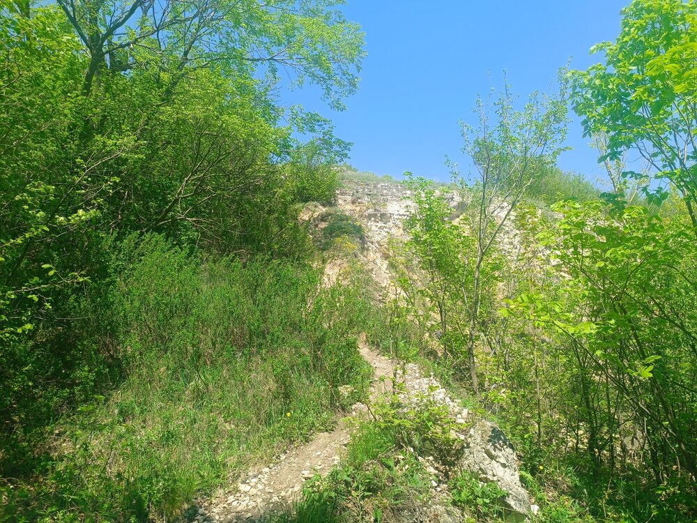 IMG_20260508_124524.jpg