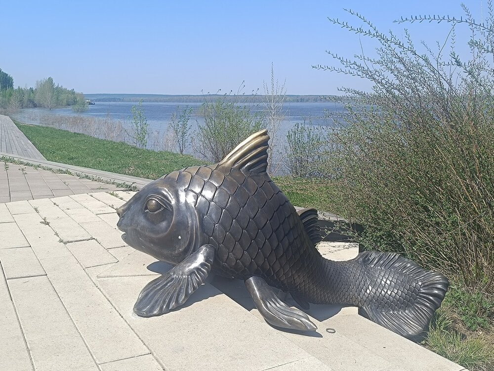 IMG_20260508_131515.jpg