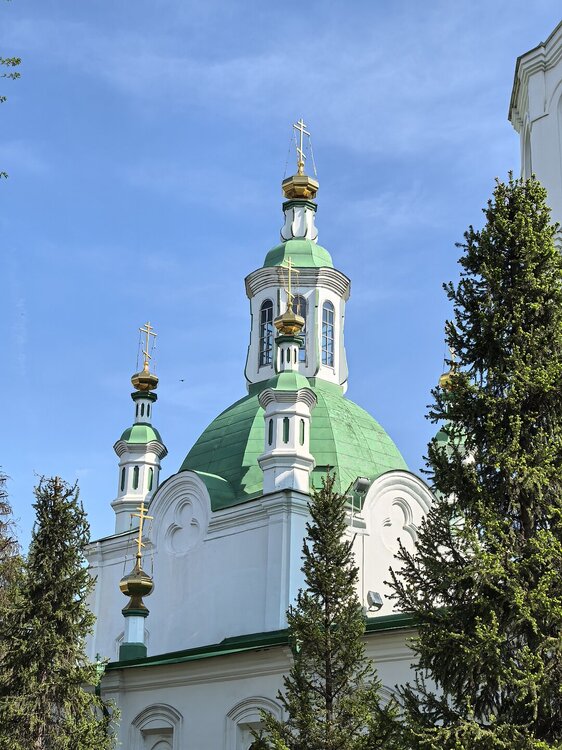 IMG_20260508_141607.jpg