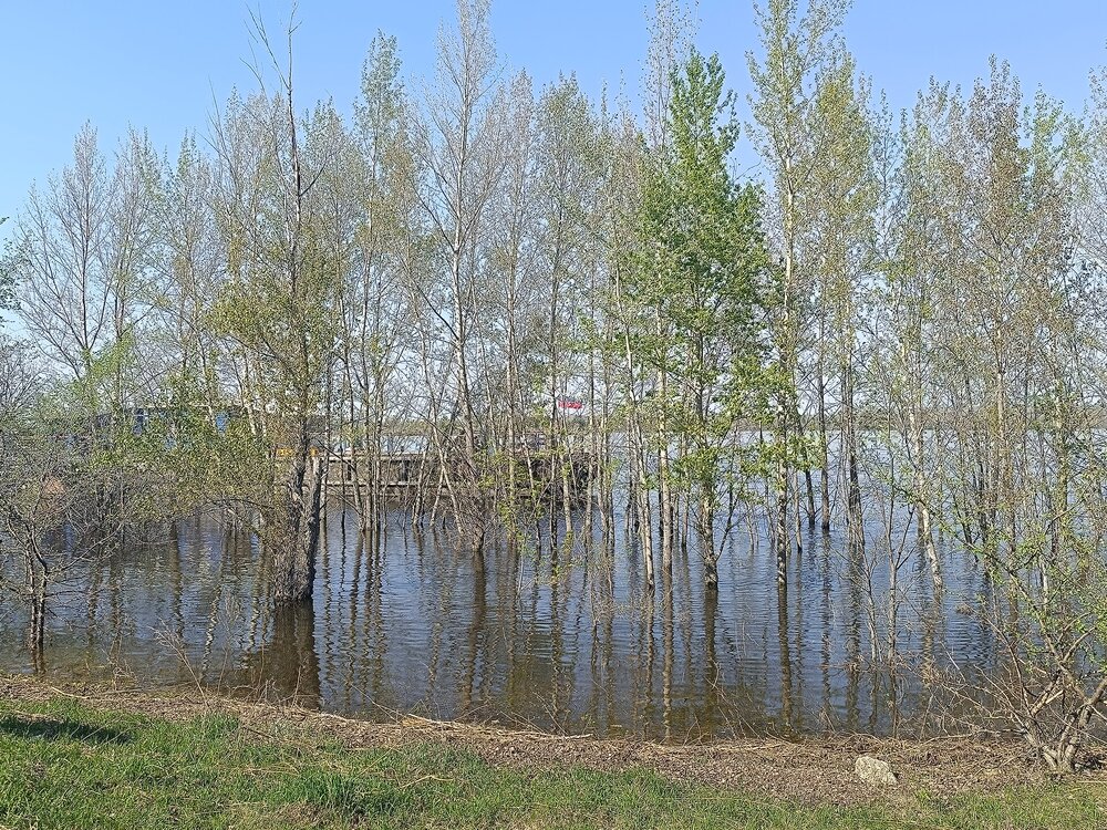 IMG_20260508_155311.jpg