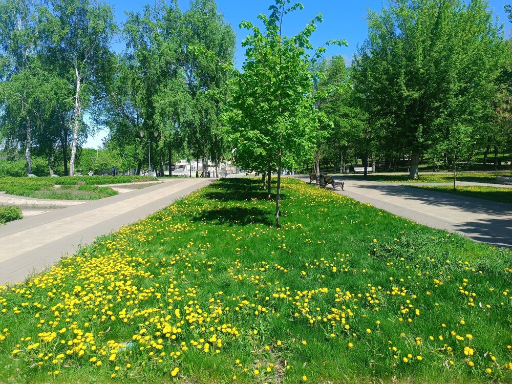 IMG_20260509_125509.jpg