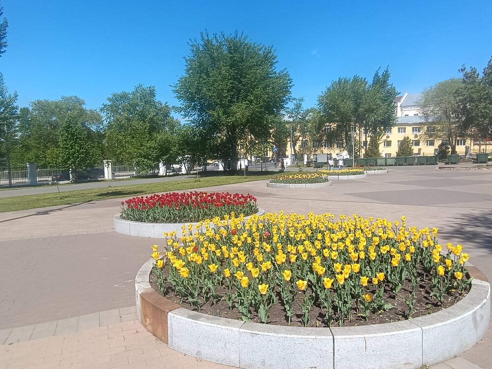 IMG_20260509_125911.jpg