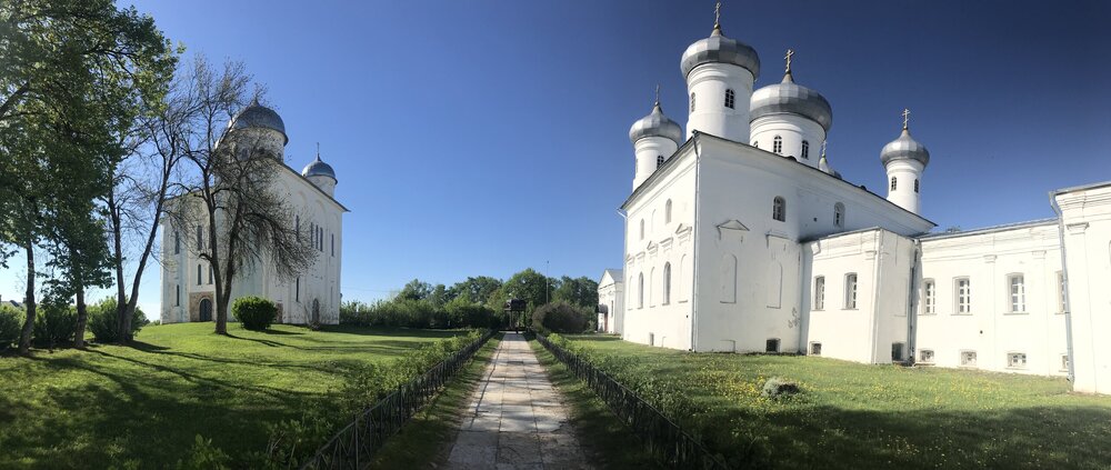 IMG_2353.jpeg