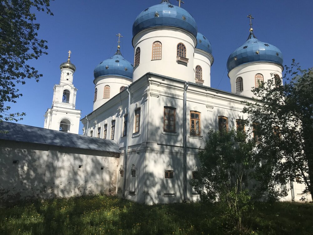 IMG_2373.jpeg