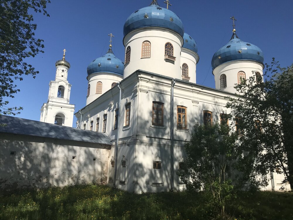 IMG_2374.jpeg