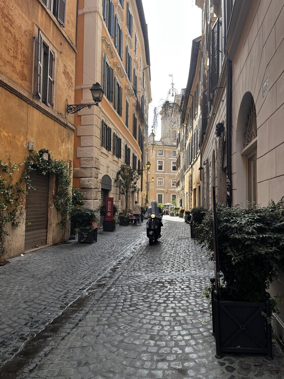 IMG_2926.JPEG