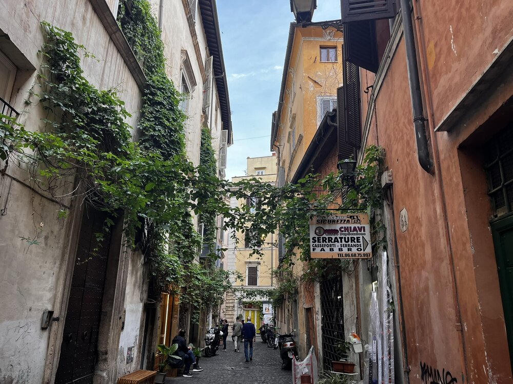 IMG_2941.JPEG