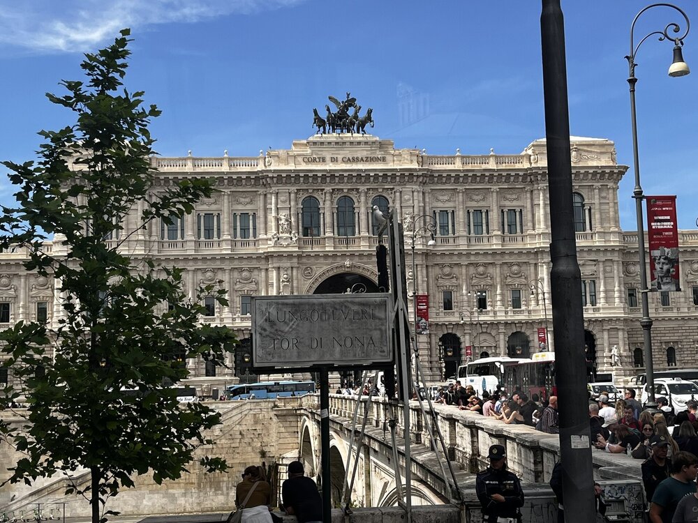 IMG_3146.JPEG