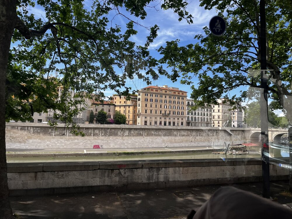 IMG_3149.JPEG