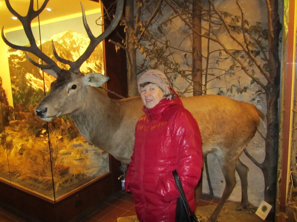 IMG_3276.thumb.jpg.758df379ed484be4c3d95f7aa2b7b5af.jpg
