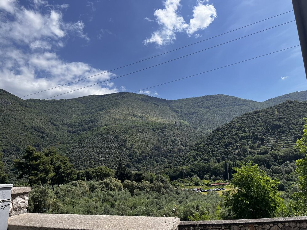 IMG_3760.JPEG