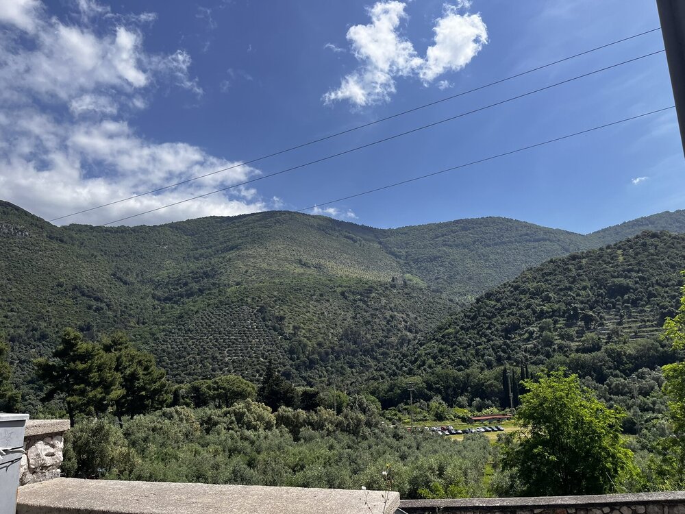 IMG_3761.JPEG