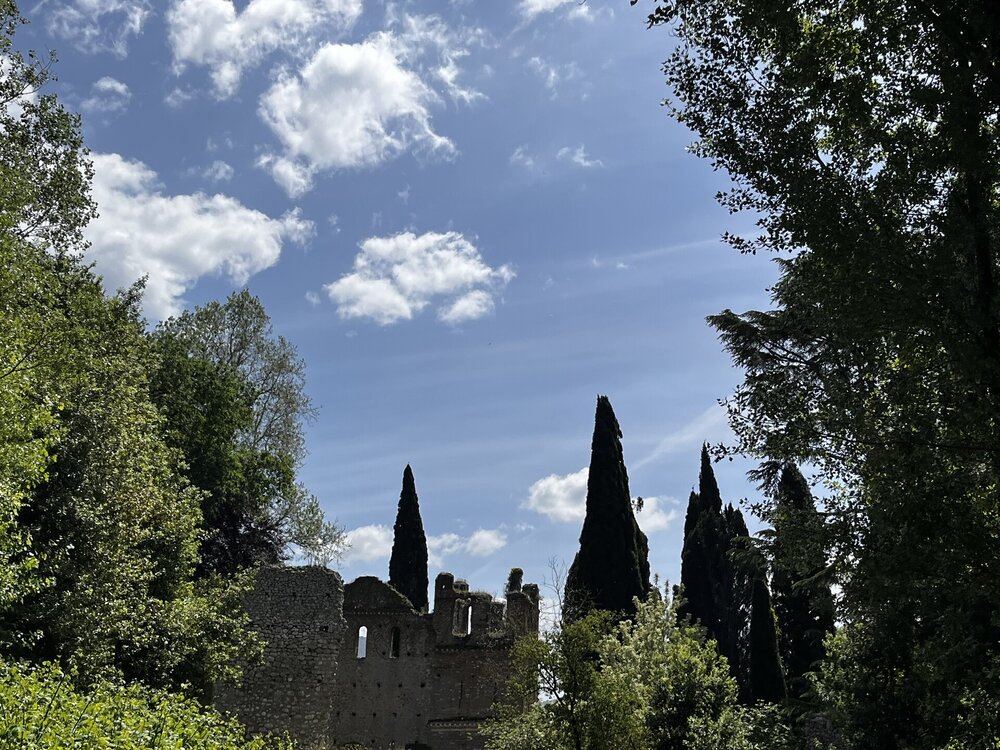 IMG_3790.JPEG