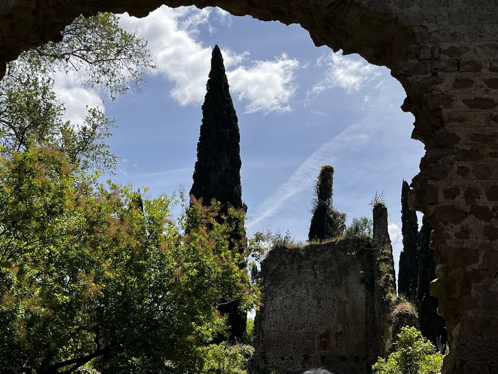 IMG_3804.JPEG