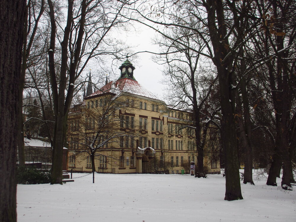 IMG_6904.JPG