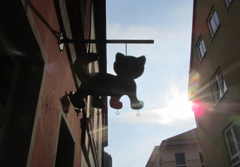 IMG_7590.JPG
