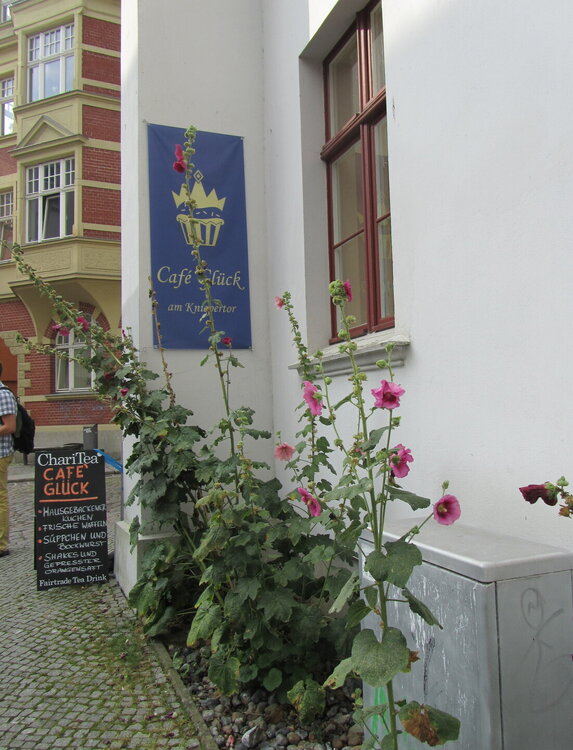 IMG_7614.JPG