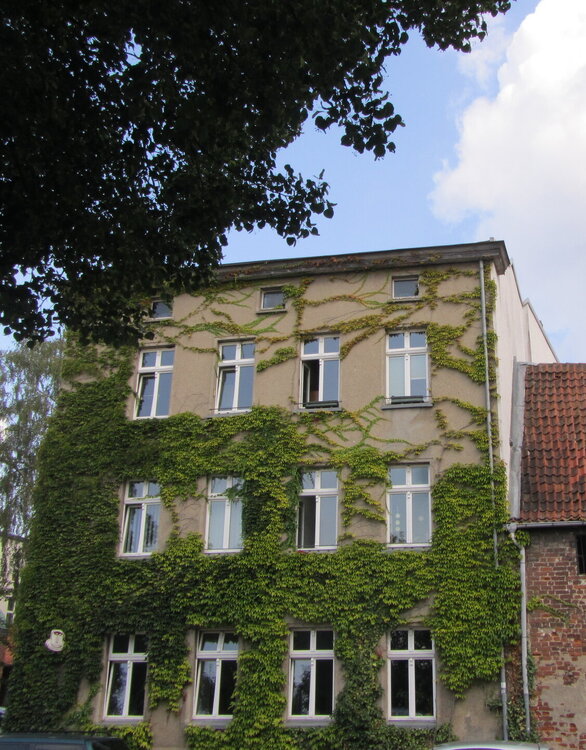 IMG_7655.JPG