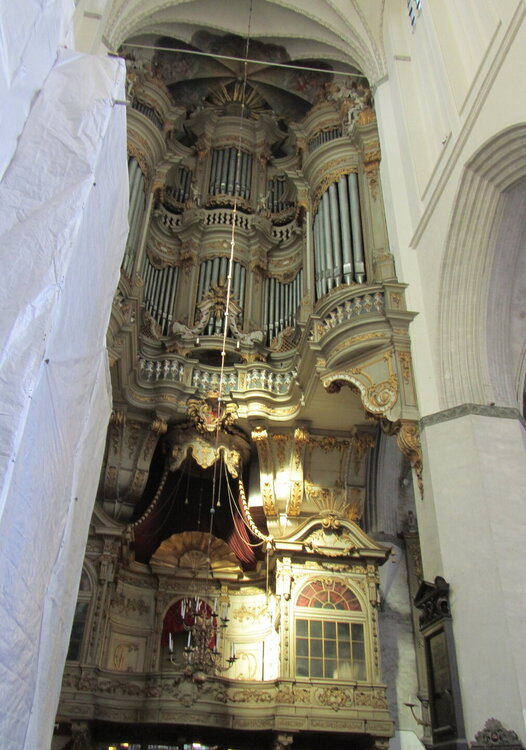 IMG_7907.JPG