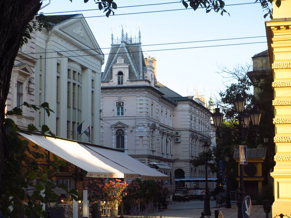 IMG_8387.JPG