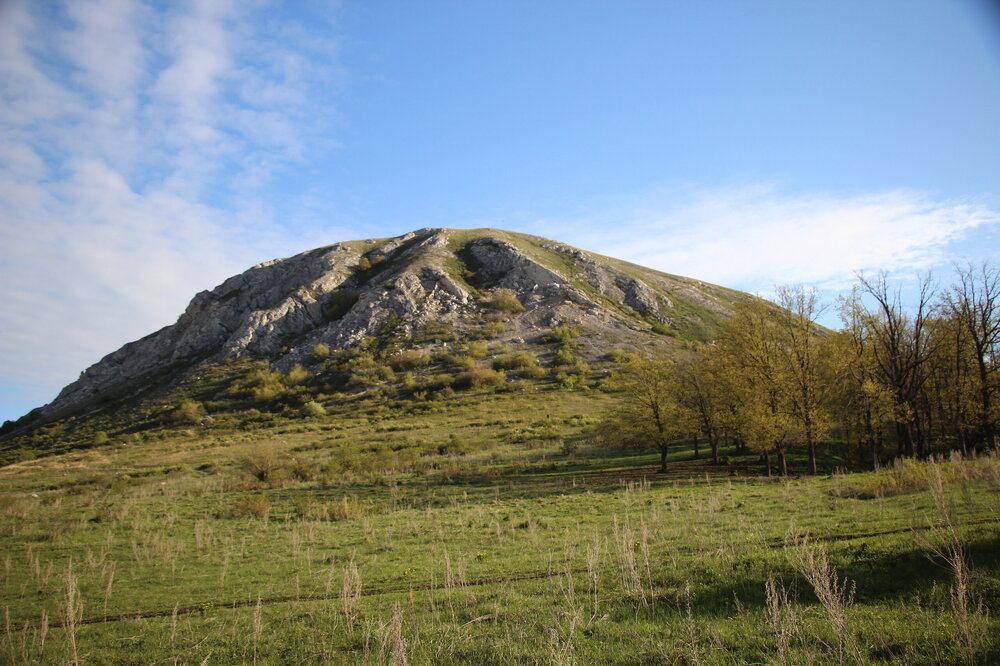 IMG_8709.JPG