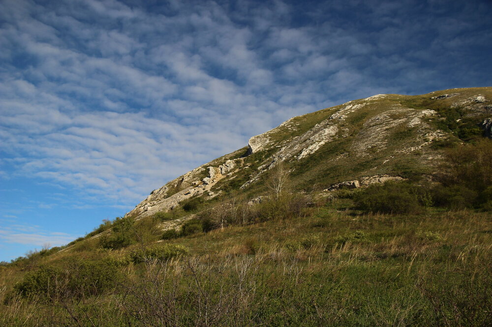 IMG_8711.JPG