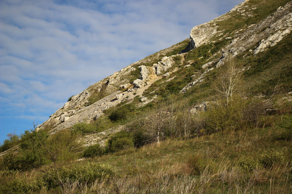 IMG_8712.JPG