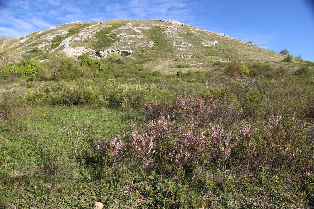 IMG_8727.JPG