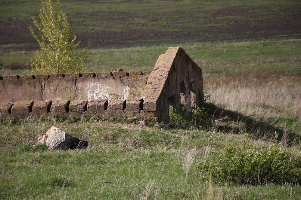 IMG_8778.JPG