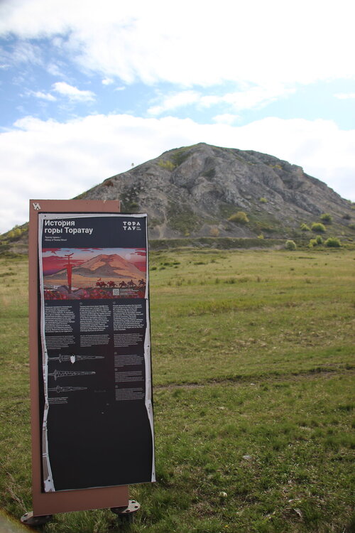 IMG_8780.JPG