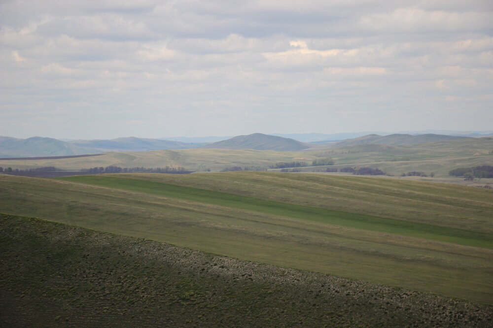 IMG_8804.JPG