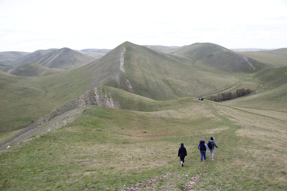 IMG_8813.JPG