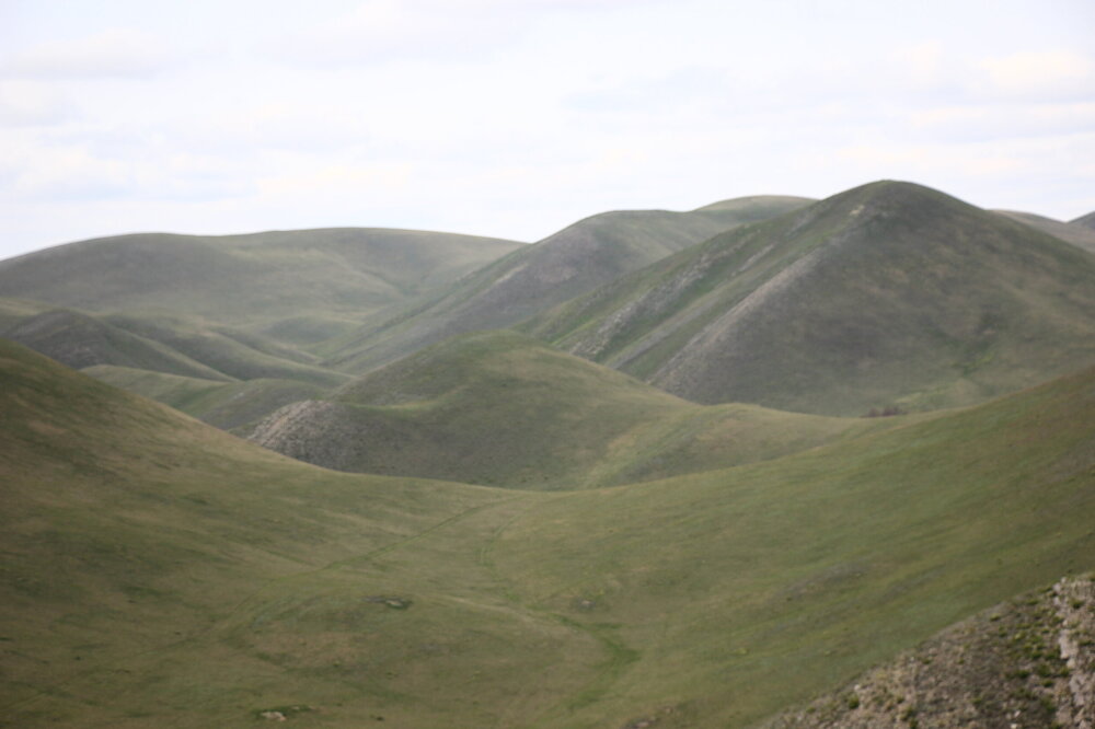 IMG_8830.JPG