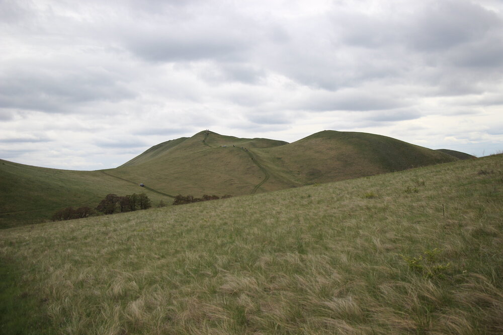 IMG_8832.JPG
