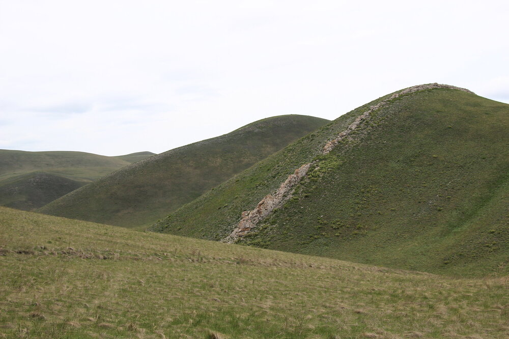 IMG_8835.JPG
