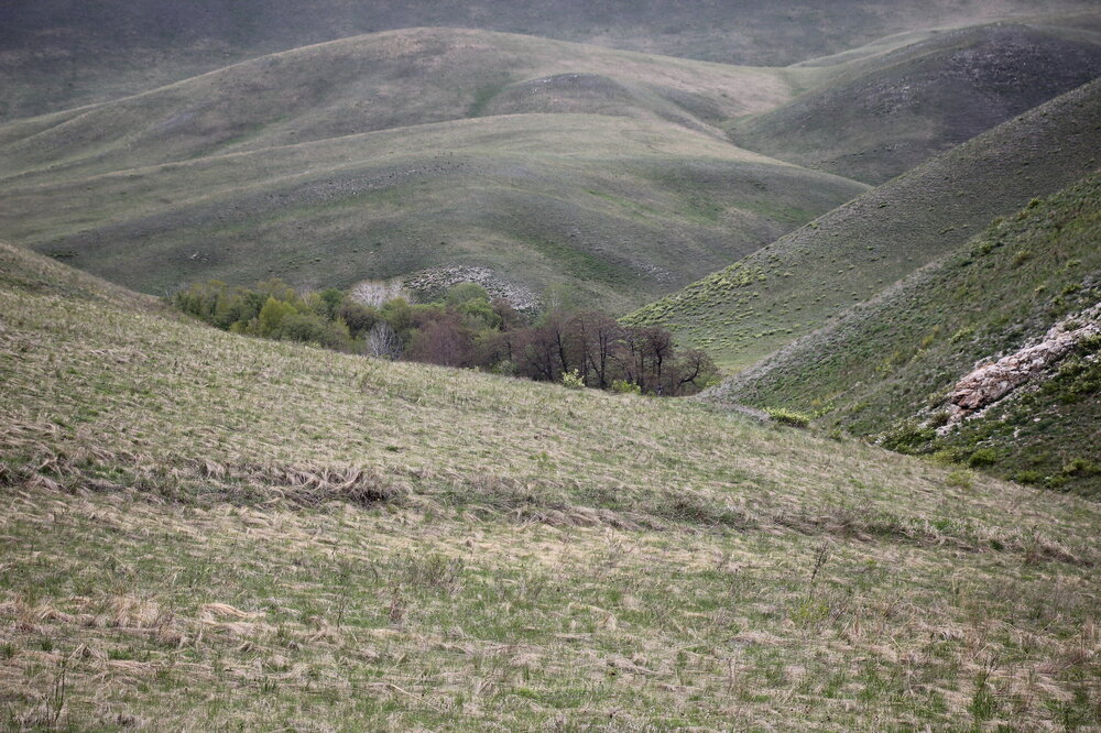 IMG_8840.JPG