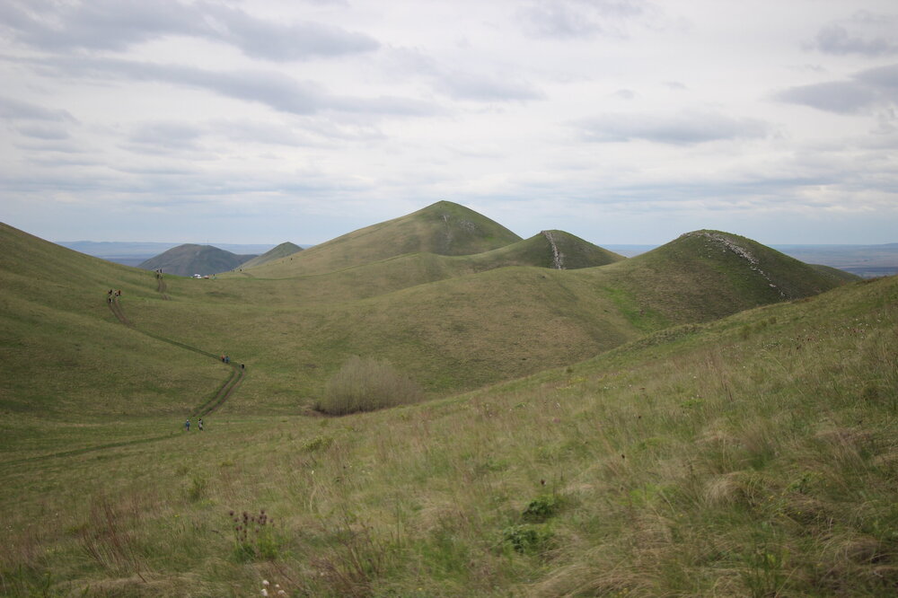 IMG_8848.JPG
