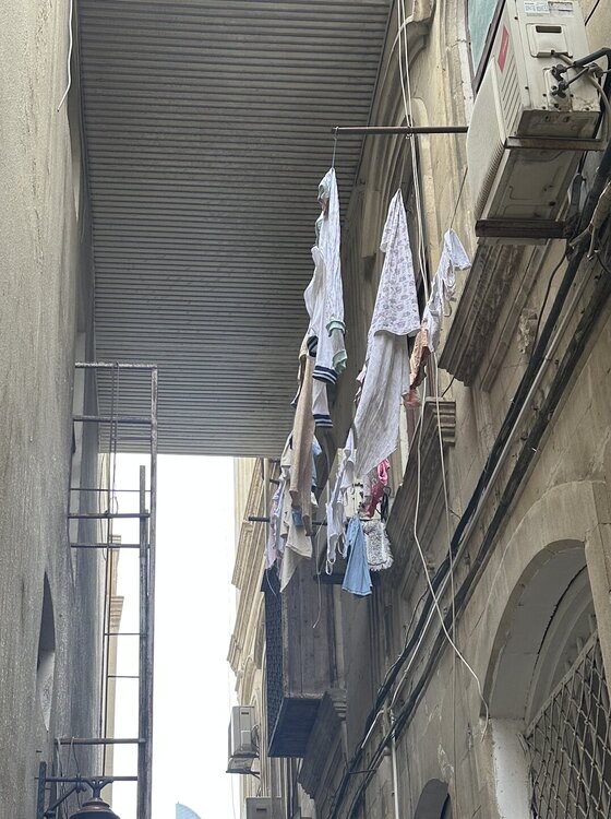 IMG_9498.jpeg