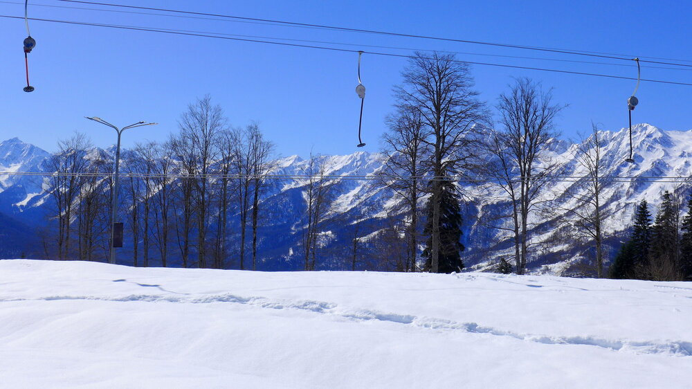 P1560100.JPG