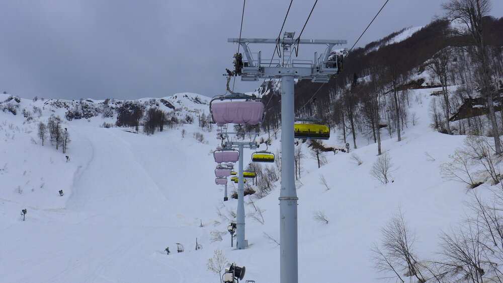 P1560475.JPG
