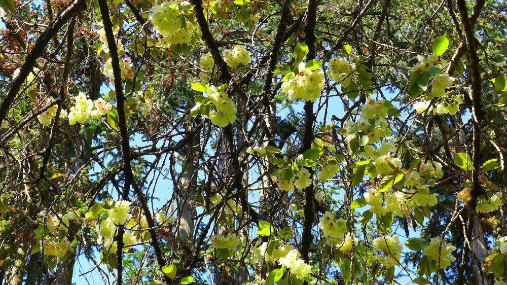 P1560554.JPG