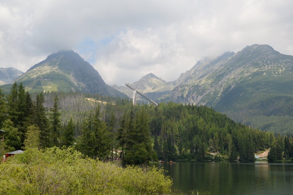 ______DSC_1246.jpg.2ee893b04d23583ff2d4848c6f25609f.jpg