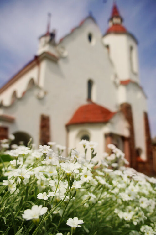 shutterstock_346443722-1.jpg