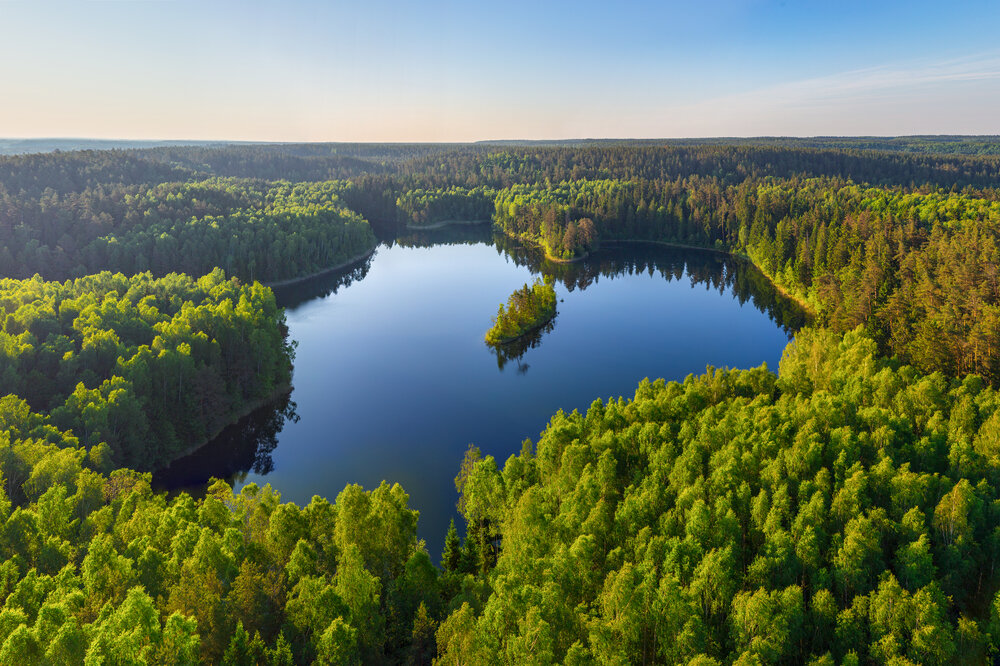 shutterstock_475904803-1.jpg