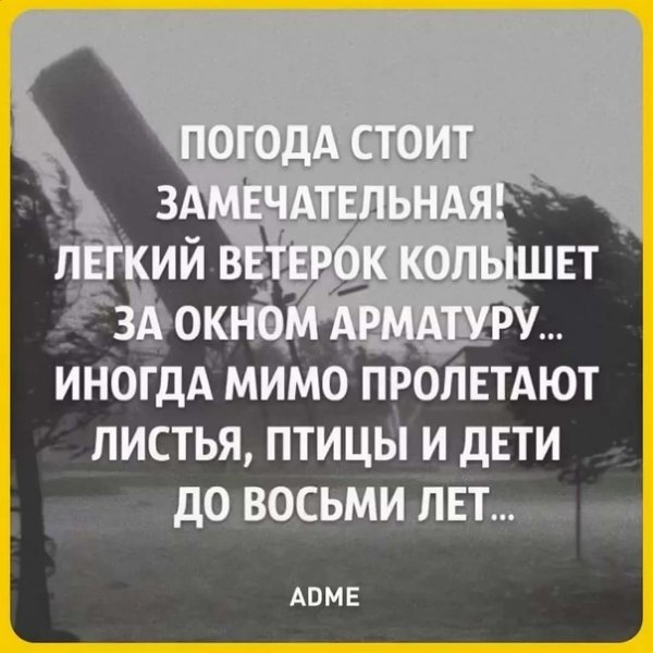 1689185251_kartin-papik-pro-p-kartinki-pogoda-stoit-chudesnaya-20.jpg