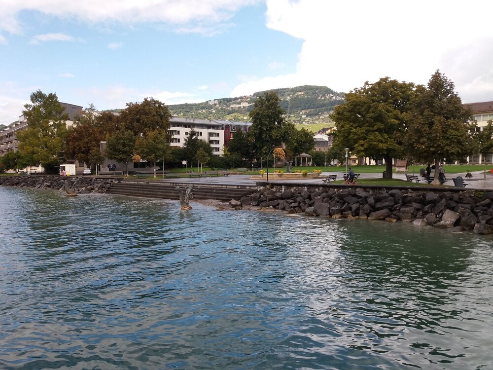 20170919_141356.jpg