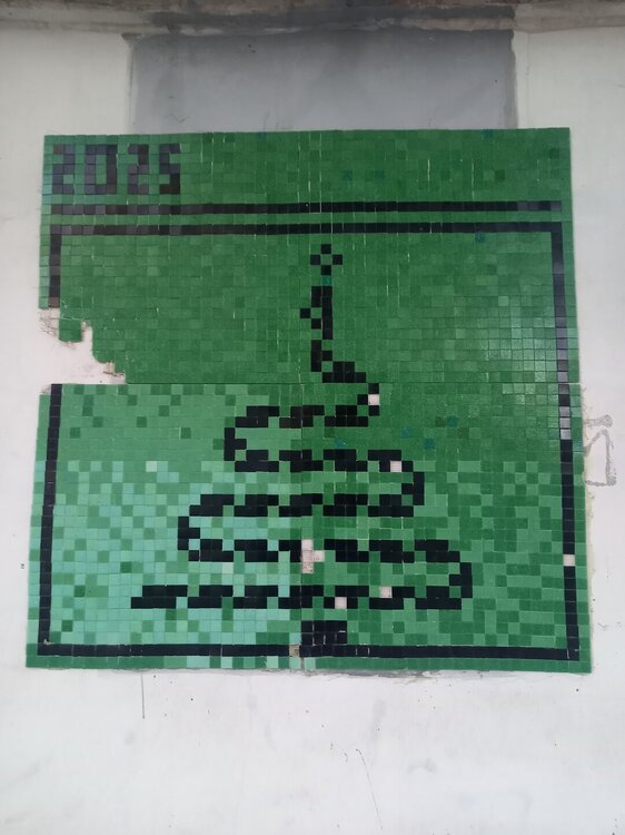 20260509_203629.jpg
