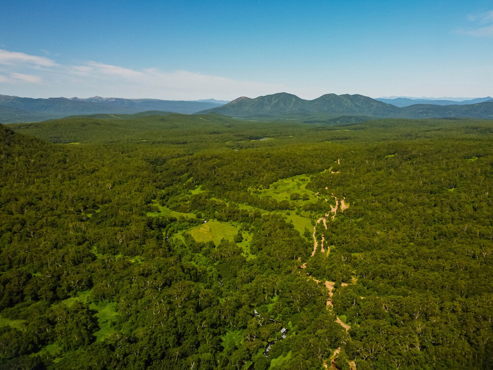 DJI_0923.jpg